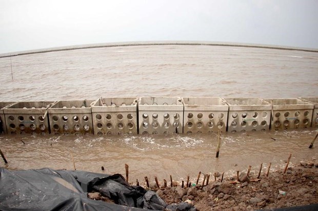 An eroded sea dyke on the eastern coast in the Mekong Delta province of Tien Giang (Photo: VNA)