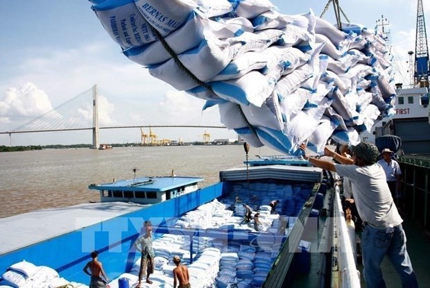 Rice for exports (Photo: VNA)