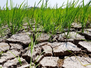 Challenges from drought and salinity must be turned into new opportunities