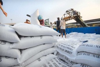 Rice export price lowest in two months