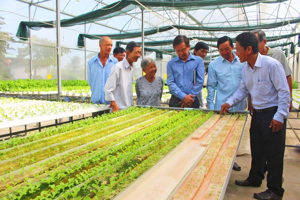 Model of seedling nursery trees brings about efficiency in production