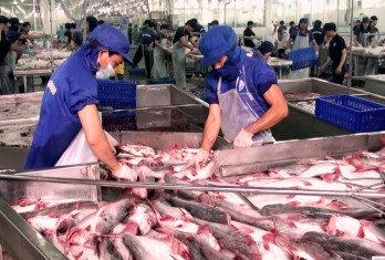 EVFTA làm tăng khả năng cạnh tranh về giá của hàng hóa Việt Nam