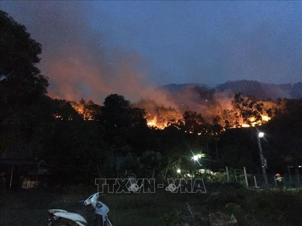 A forest fire happens in Mong Ga Mountain in Huong Son District, Ha Tinh province on June 30, 2020. (Photo: VNA)