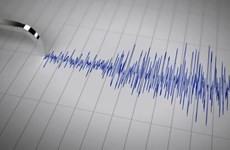 Several earthquakes strike Indonesia