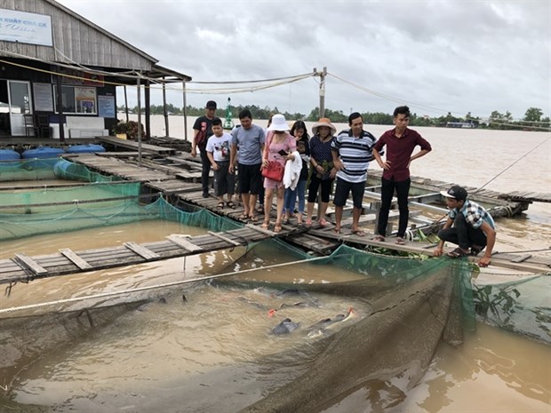 Domestic tourists visit a floating fish farm in Can Tho City. (Photo: VNA)