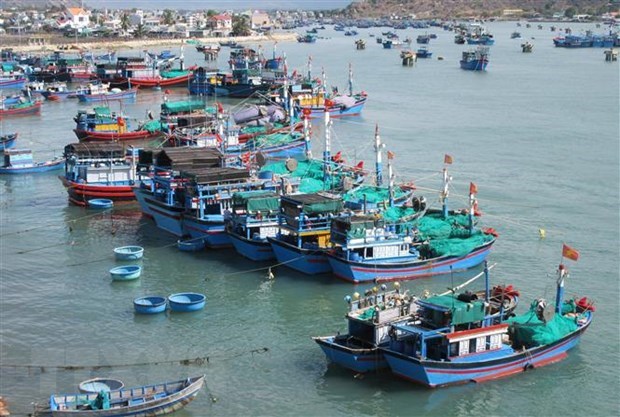 Fishing boats docking in Dam Nai (Nai Lagoon) of Ninh Hai district, Ninh Thuan province (Photo: VNA)