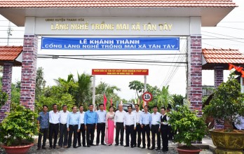 Village growing apricot blossom recognized in Tan Tay commune