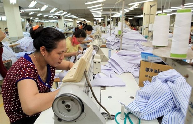 Workers of the Sai Dong Garment Company produce shirts for export to the US, the EU and Japan (Photo: VNA)