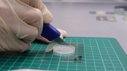 Singapore researchers create "electronic skin"