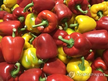 RoK to export paprika to Vietnam