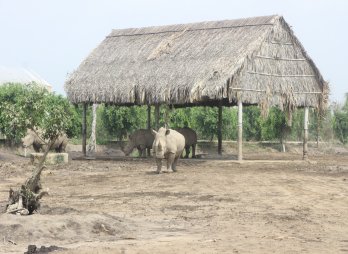 Bài 2: Nhọc nhằn con đường du lịch