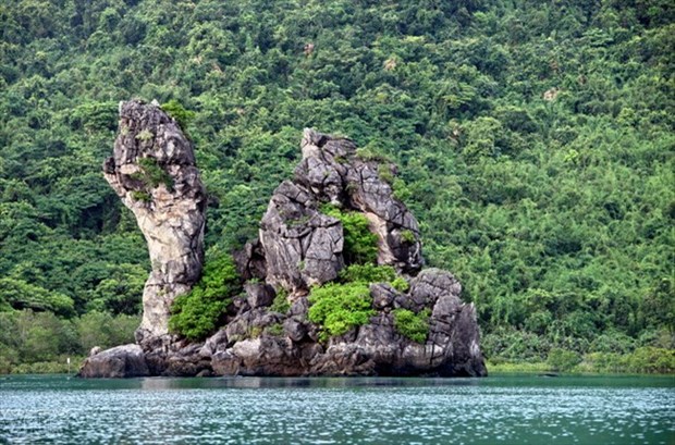 Located within Bai Tu Long Bay and near the UNESCO-recognised Ha Long Bay, Bai Tu Long National Park is a natural treasure for Vietnam. (Source: VNA)