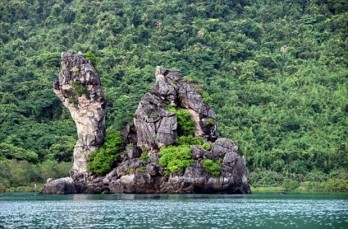 Quang Ninh enjoys potential for forestry tourism development