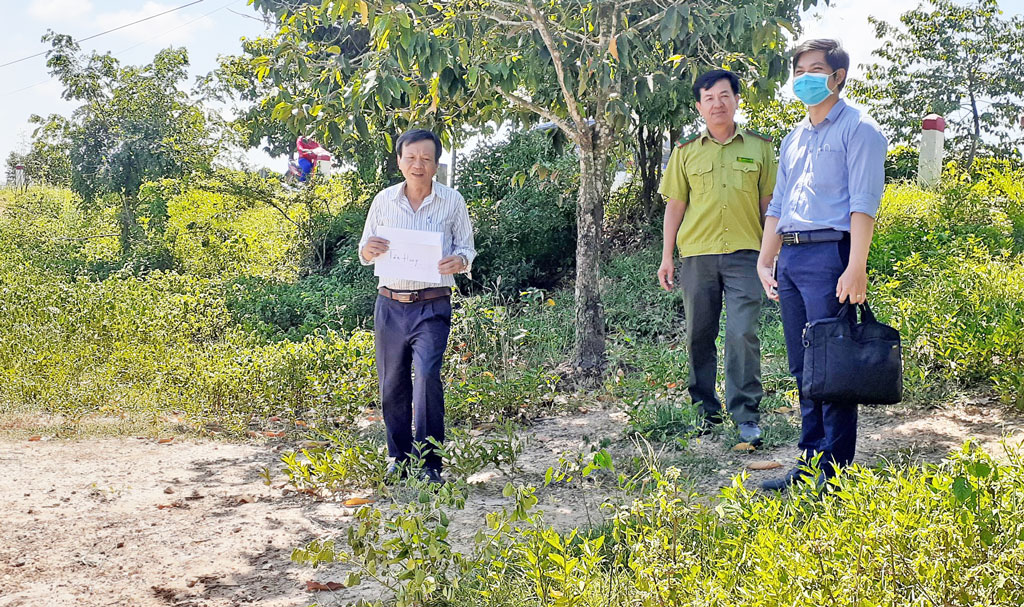 The delegation inspects the reality of the protective forest area at the border line