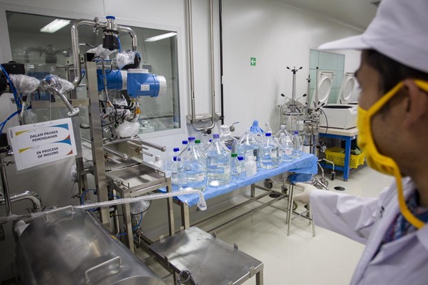 A scientist works inside the research room for the Merah Putih vaccine candidate at state-owned pharmaceutical holding company PT Bio Farma's office in Bandung, West Java (Photo: Antara)