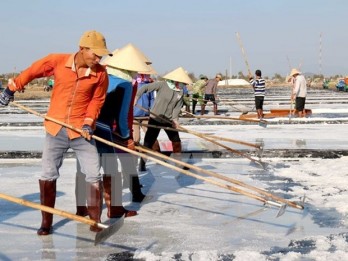 Salt industry development plan for 2021-2030 approved