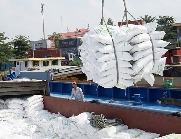 Vietnam's rice exports to African nations have been on the rise (Illustrative photo: congthuong.vn)