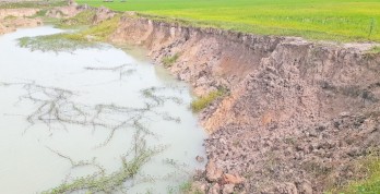 Tân Hưng: Hệ lụy từ việc khai thác đất trái phép