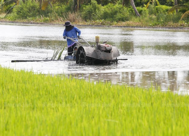 Illustrative photo (Source: Bangkok Post)