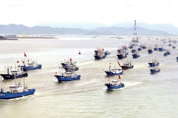 Fish stocks in East Sea fall sharply