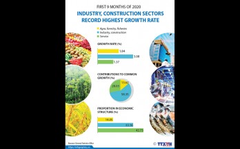 Industry, construction sectors record highest growth rate