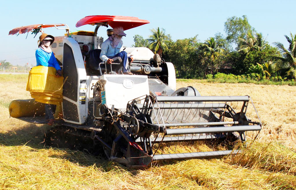 Rice production 2020 is estimated at over 2.8 million tons