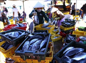 Workshop seeks ways to promote tuna exports to EU