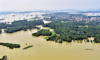 Số các đợt thiên tai 'tăng chóng mặt' trong vòng 20 năm qua