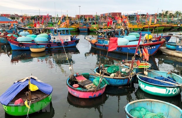 Boats are instructed to find safe habour (Photo: VNA).