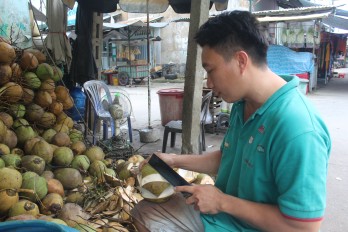 “Khoác áo mới” cho dừa