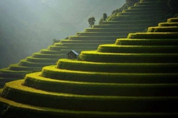 Mu Cang Chai among world’s 50 most beautiful places