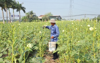 Quê Mỹ Thạnh: Tập trung công tác giảm nghèo