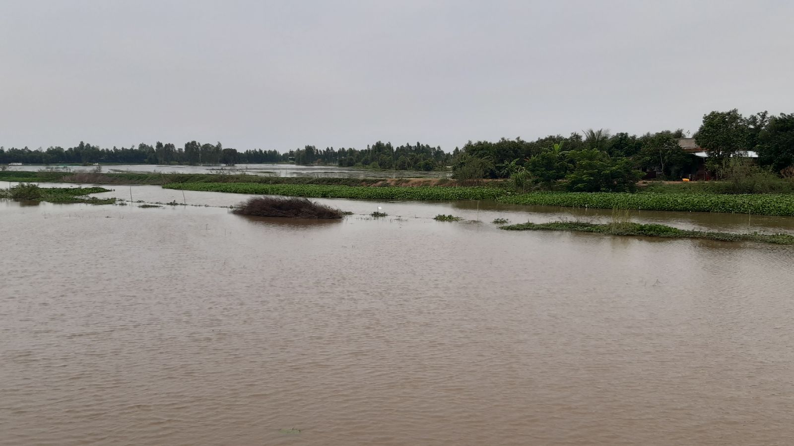 Flood water recedes on average 2-4 centimeters day and night