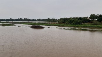 Flood water recedes, farmers need to be proactive in production