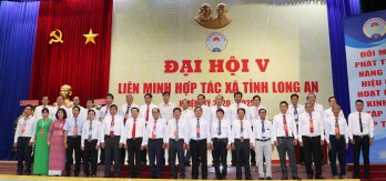 Hỗ trợ hợp tác xã liên kết chuỗi, phát triển theo lộ trình