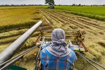 Thai gov’t regulates further farmland for farmers in need