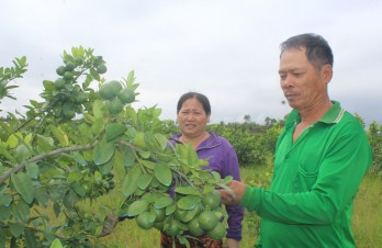 Nỗ lực chăm lo đời sống người dân