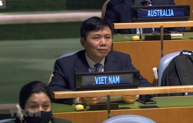 Ambassador Dang Dinh Quy, head of the Vietnamese mission to the UN (Photo: VNA)