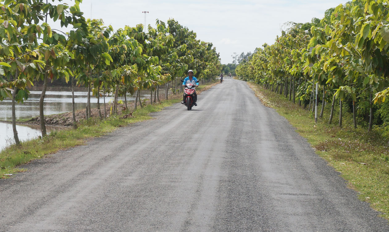 Rural roads have been asphalted to facilitate travel for people 