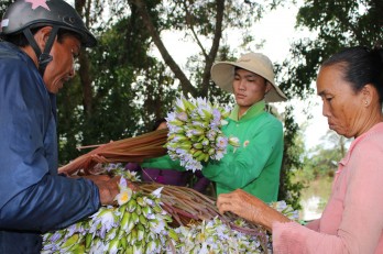 Đưa sản vật từ quê lên phố