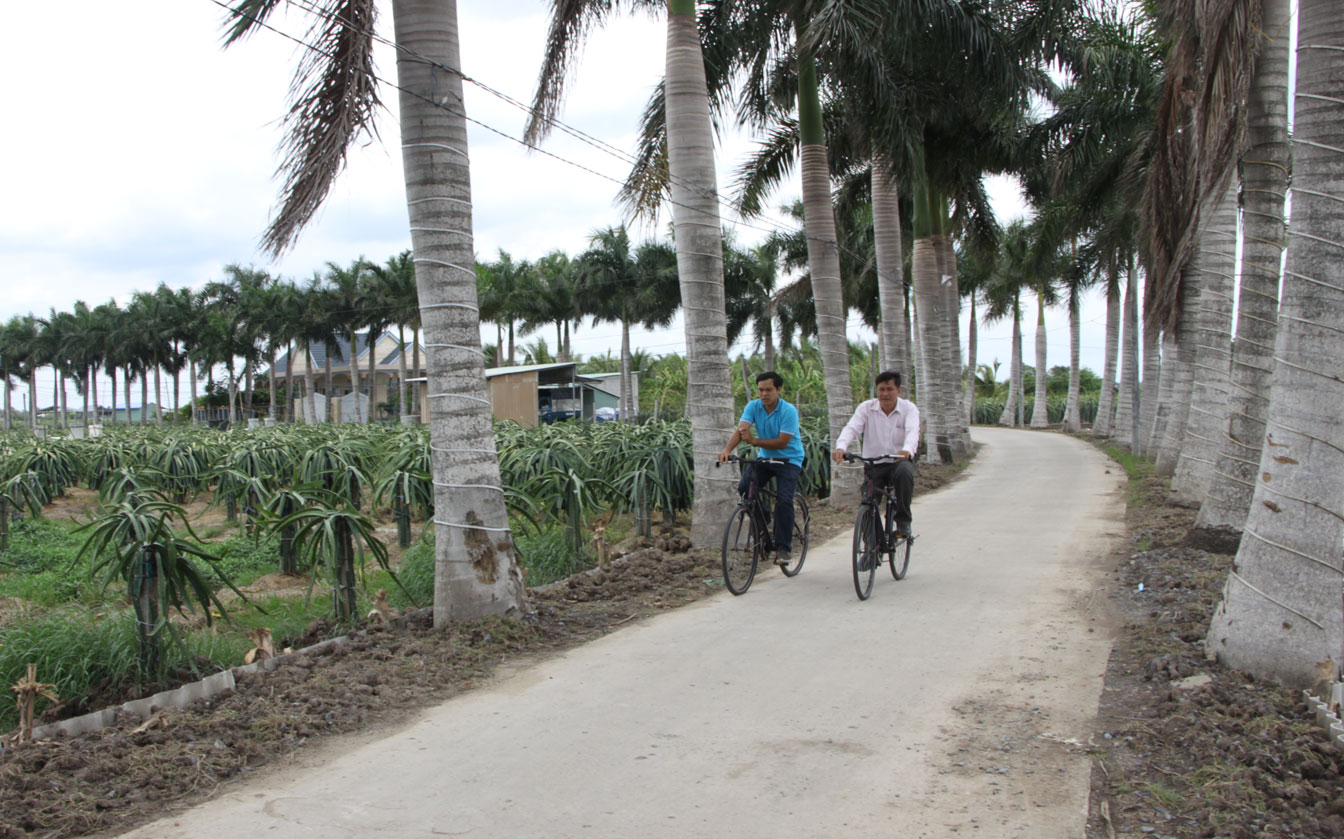 Một số tour du lịch tại Long An cũng được mở bán, đón khách về Bến Lức và Tân Trụ với những trải nghiệm thú vị, gần gũi với thiên nhiên dành cho du khách