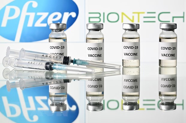 Hình ảnh minh họa vắcxin phòng bệnh viêm đường hô hấp cấp COVID-19 do các hãng dược Pfizer (Mỹ) và BioNTech (Đức) phối hợp bào chế. (Ảnh: AFP/TTXVN)