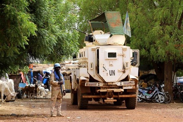 Peacekeepers patrol in Gao city (Photo: AFP/VNA)