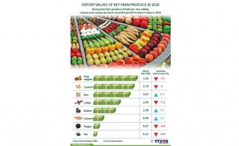 Export values of key farm produce in 2020