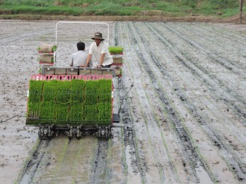 Determination to emulate labor, production from early year