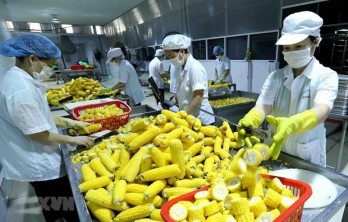 RCEP helps Vietnamese agricultural products reach out to the world