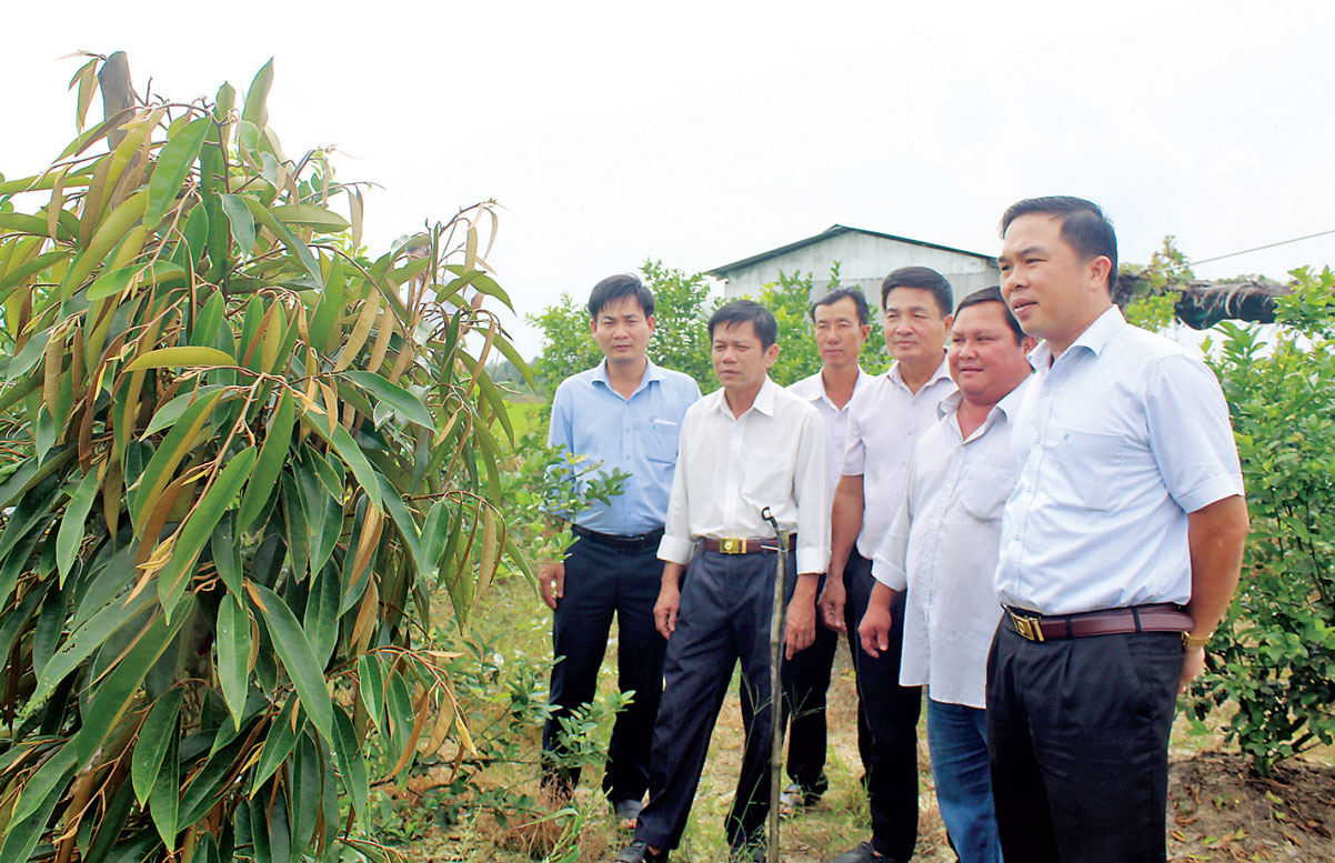 Mô hình chuyển đổi cây trồng mang lại hiệu quả kinh tế cho nông dân