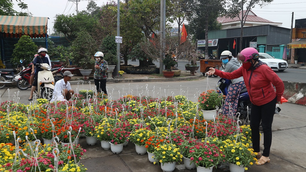 The new year flower market is colorful with all kinds of ornamental flowers