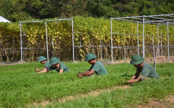 Bài 3: Sức sống trên biển đảo Tây Nam