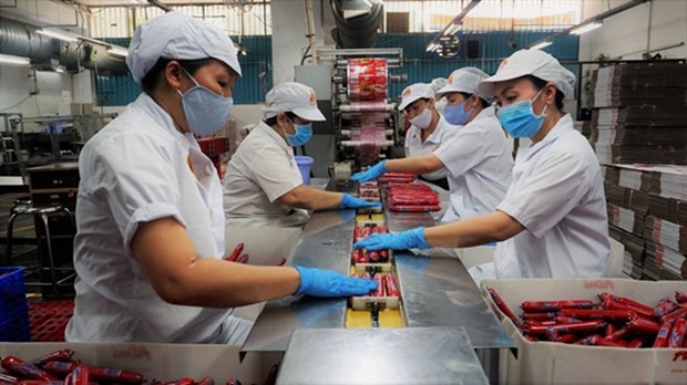 Employees at Vissan JSC. (Photo: nld.com.vn)